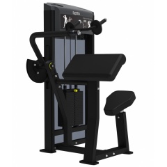 AeroFit IF9323 Разгибание рук из каталога грузоблочных тренажеров в Челябинске по цене 280500 ₽