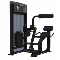 AeroFit IF9332 Разгибание спины из каталога грузоблочных тренажеров в Челябинске по цене 262740 ₽