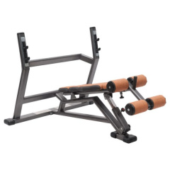 FitWorld FW-0630 с отрицательным углом из каталога скамей со стойкой в Челябинске по цене 69000 ₽