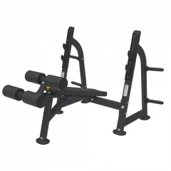 Bronze Gym BR-1013 с отрицательным наклоном из каталога скамей со стойкой в Челябинске по цене 115990 ₽