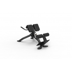 Spirit SP-4220 из каталога гиперэкстензий в Челябинске по цене 101700 ₽