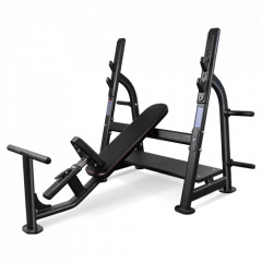 Bronze Gym BR-1014 наклонная из каталога скамей со стойкой в Челябинске по цене 120990 ₽