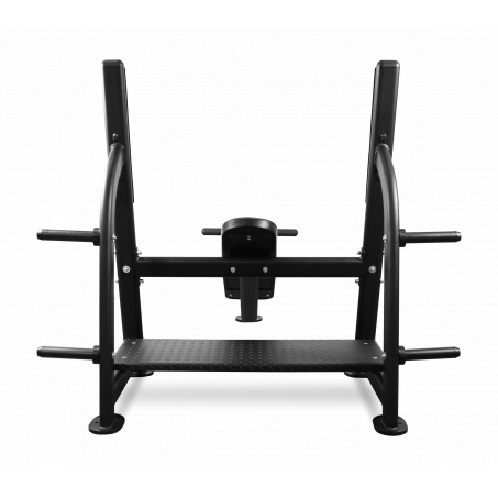 Рендер-13 для Bronze Gym BR-1014 наклонная