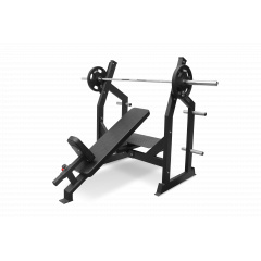 Bronze Gym AL-305 наклонная из каталога скамей со стойкой в Челябинске по цене 84690 ₽