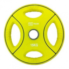 Protrain DB6092-15 (д=50 мм) из каталога дисков для штанги с посадочным диаметром 50 мм. в Челябинске по цене 6800 ₽