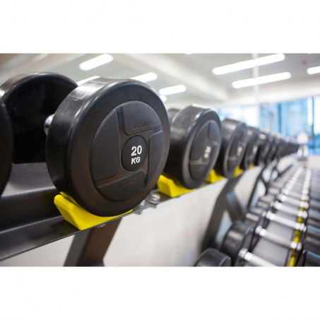 Рендер-2 для Profi Fit Power 27,5-50 кг (шаг 2,5 кг, 10 пар)