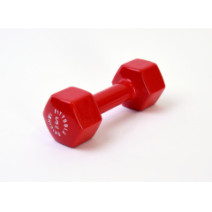 Original FitTools 5 кг (Цвет - красный) из каталога виниловых гантелей в Челябинске по цене 1790 ₽