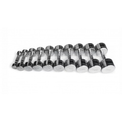 UltraGym хромированных ряд от 1 до 10 кг  UG1025 из каталога гантельных рядов в Челябинске по цене 73530 ₽