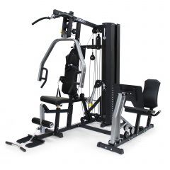 Horizon Home Gym Torus 5 из каталога мультистанций в Челябинске по цене 262910 ₽