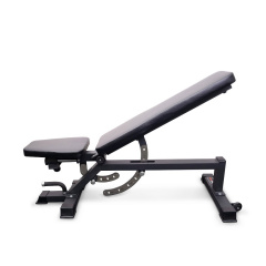 Protrain TC011 из каталога силовых скамей в Челябинске по цене 48450 ₽