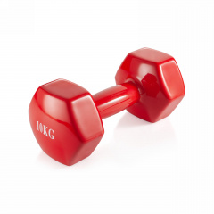 VictoryFit 10 кг. 1 шт. VF-DV100 из каталога силовых скамей в Челябинске по цене 2810 ₽