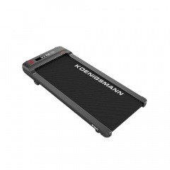 Koenigsmann PAD2 из каталога беговых дорожек в Челябинске по цене 35990 ₽