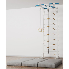 BarFits New Age RJ Premium line из каталога металлических шведских стенок в Челябинске по цене 51900 ₽