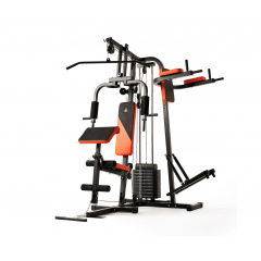DFC HomeGym D7002-60 стек 60 кг из каталога мультистанций в Челябинске по цене 46750 ₽