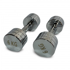 UnixFit PRO круглая 6 кг DBRND6PCE из каталога хромированных гантелей в Челябинске по цене 3290 ₽