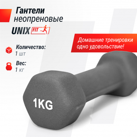 Рендер-1 для UnixFit 1 кг Grey DBNEO1GY
