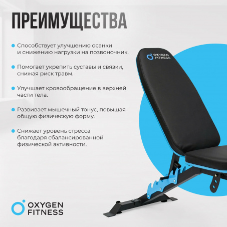 11 слайд галлереи