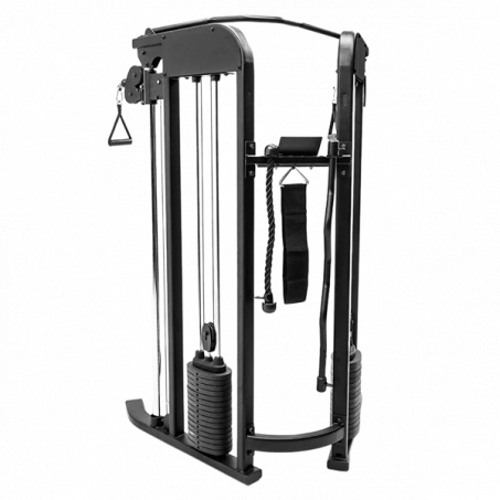 Рендер-3 для Inspire FTX Functional Trainer