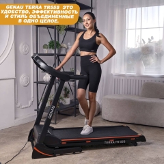 Terra TR-55S в Челябинске по цене 67190 ₽ в категории беговые дорожки Genau