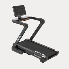 Nordic Z1 в Челябинске по цене 109900 ₽ в категории беговые дорожки Genau