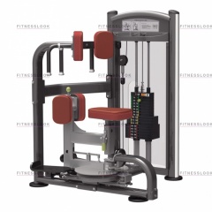 AeroFit IT9318 - вращение торса из каталога грузоблочных тренажеров в Челябинске по цене 194990 ₽