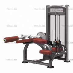 AeroFit IT9321 - сгибание ног лежа из каталога грузоблочных тренажеров в Челябинске по цене 162950 ₽