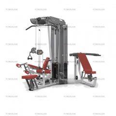 AeroFit ES3000+ES3000OPT с тяговой колонной из каталога мультистанций в Челябинске по цене 466990 ₽
