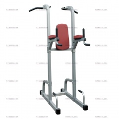 AeroFit IFPT из каталога стоек турник брусья-пресс в Челябинске по цене 85850 ₽
