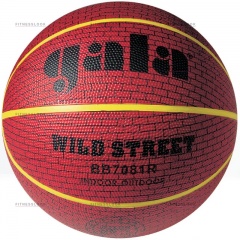Gala Wild Street 7 из каталога баскетбольных мячей в Челябинске по цене 850 ₽