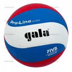 Gala Pro-line из каталога баскетбольных мячей в Челябинске по цене 2640 ₽