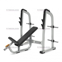 Precor DBR410 - со стойками из каталога скамей со стойкой в Челябинске по цене 162470 ₽
