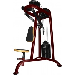 ProfiGym ТГ-0040-CР (Rubin) - Задняя дельта из каталога грузоблочных тренажеров в Челябинске по цене 100390 ₽