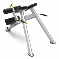 Protrain 61A43 из каталога гиперэкстензий в Челябинске по цене 74040 ₽
