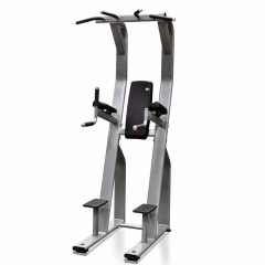 Protrain V8-304 из каталога стоек турник брусья-пресс в Челябинске по цене 149150 ₽