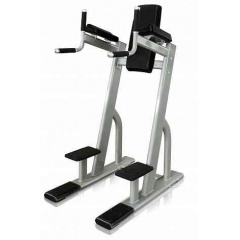 Protrain V8-301 из каталога стоек турник брусья-пресс в Челябинске по цене 119700 ₽